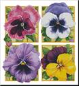 Pretty Pansies - Crop