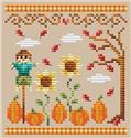 Pumpkin Patch