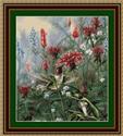 Monardia Hummingbirds