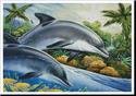 Dolphin Island