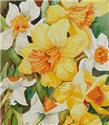 Early Spring Flowers - Crop