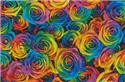 Rainbow Roses
