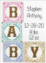 Baby Blocks Birth Record