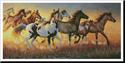 Mustangs