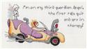 Pattern, When I Grow Old Guardian Angel by MarNic Designs