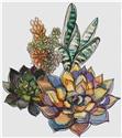 Bouquet of Succulents