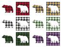 Fun With Plaid - Bear