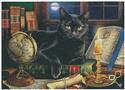 Black Cat by Candlelight