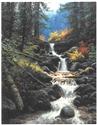 Cascade Creek