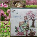 Pattern, Spring by Serenita Di Campagna