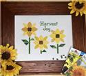 Harvest Joy