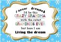Pattern, Living the Dream by Iris Originals