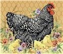 Henrietta Hen