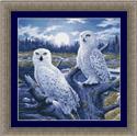 9933 Moonlight Owl