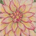 Dahlia