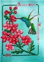 Broad-Billed Hummingbird 2002