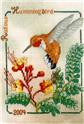 Rufous Hummingbird 2004