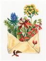 Kit, Letters From The Forest by RTO