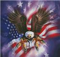 Eagle Burst