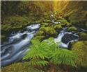 Pattern, Gorton Creek Fern by Artecy Cross Stitch