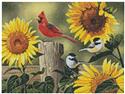 Mini Sunflowers and Songbirds