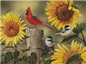 Sunflowers and Songbirds