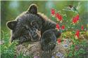 Pattern, Wish I Could Fly by Artecy Cross Stitch