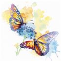 Kit, Colorful Flight by Riolis