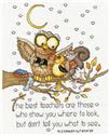 Pattern, Best Teachers by Imaginating