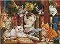 Kittens in the Library