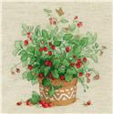 Kit, Strawberries in a Pot by Riolis