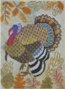 Time for All Seasons 11 - Turkey Day