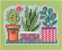 Succulents