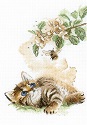 Kit, Flight of the Bumblebee by Riolis