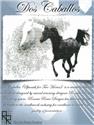 Pattern, Dos Caballos by Ronnie Rowe Designs