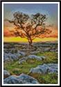 Pattern, Mini Dales Dusk by Artecy Cross Stitch