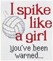 Play Volleyball!