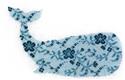 Pattern, Turquoise Whale by Cotton Pixels LTP