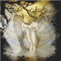 Pattern, An Angel Cries by White Willow Stitching