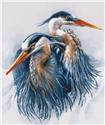 Kit, Great Blue Herons by Vervaco