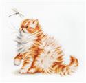 Kit, Kitten with a dragonfly by Wizardi