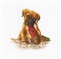 Kit, The Boxer by Wizardi
