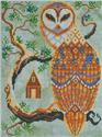 A Year in the Woods 8 - The Barn Owl