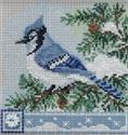 Blue Jay
