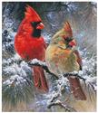 Cardinals in a Christmas Tree - Crop