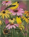 Mini Golden Finches