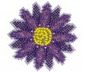 Purple Flower