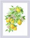 Bright Lemons