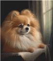 Pomeranian - Vintage