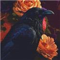Pattern, Raven and Flowers by White Willow Stitching